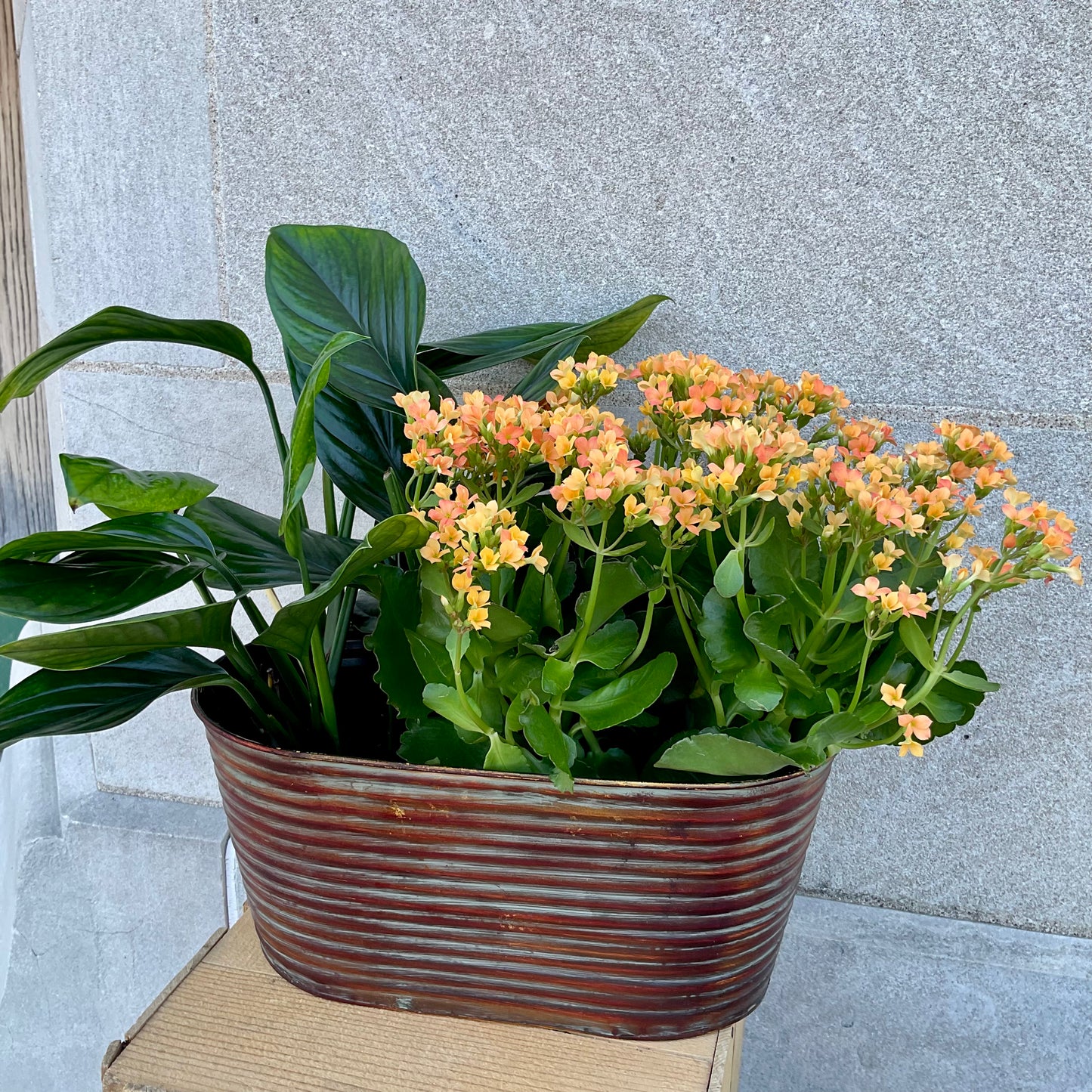 Double Plant Garden